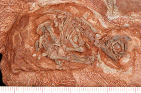 120125_pm_Ancient.jpg 120125_pm_Ancient.jpg