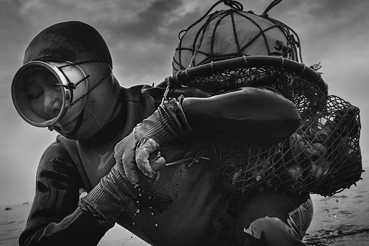 A Jeju haenyeo diver surfacing with a bag of shellfish, part of the UNESCO Intangible Cultural Heritage matriarchal free-diving tradition documented by photographer Yang Jong-hoon
