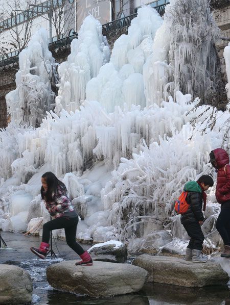 Ice trees - The Korea Times