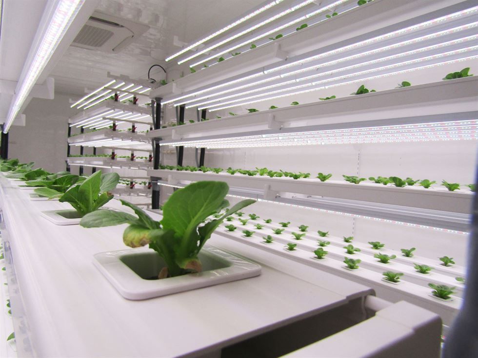 Revealed: n.thing gives visitors a taste of high-tech smart farm