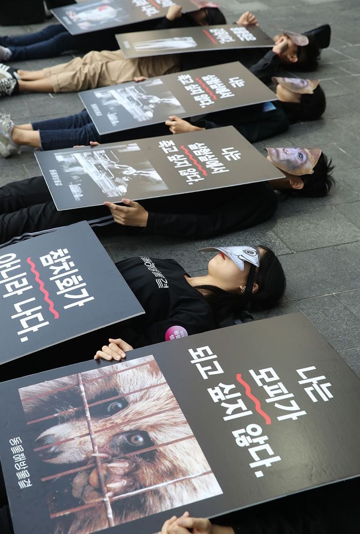 'I'm not your fur coat' - The Korea Times