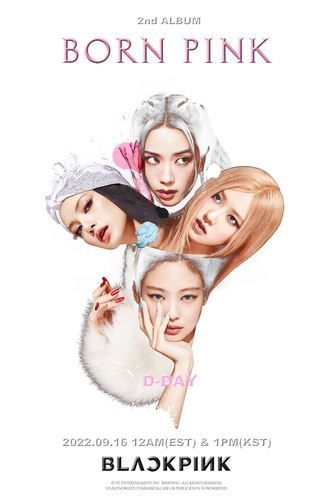 BLACKPINK aims at global market with second studio album 'Born