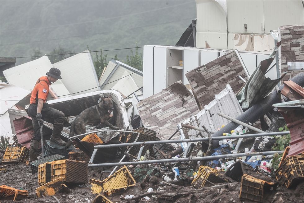 At least 31 killed by heavy rains in Korea; rescuers hunt for missing
