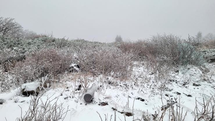 First snow of season to arrive in Seoul Wednesday