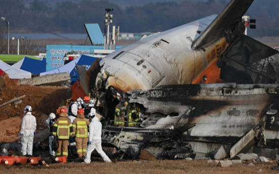 Bird strike, rushed belly landing blamed for Jeju Air crash catastrophe