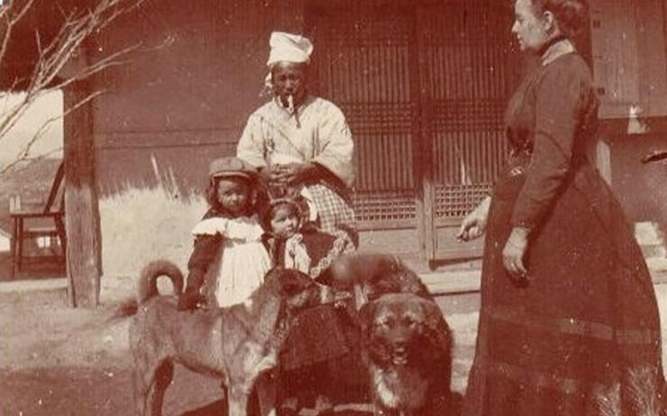 A dog's life in Joseon: Part 1 - Vimarsana News