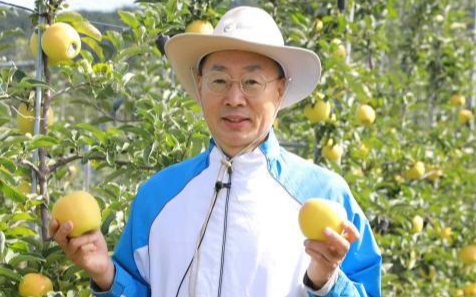 'Apple master' banker wins Prime Minister's award in fruit contest - Vimarsana News