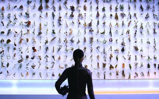 Modern art museum unveils new permanent exhibitions featuring Korean art collection