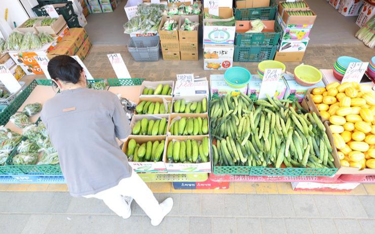 BOK monetary policy decision in May: full statement text - Vimarsana News