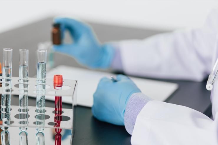 Korea to host 2027 conference on animal testing alternatives