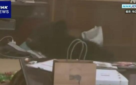 Bear found under blanket in Japan living room amid demographic crisis
