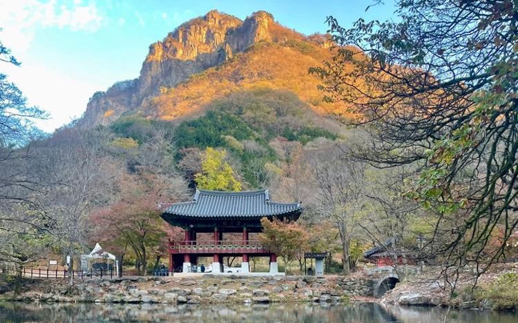 [REVIEW] Night's stay at Baekyang Temple offers more than just inner peace, gratifies with food, meditation, nature's sight - Vimarsana News