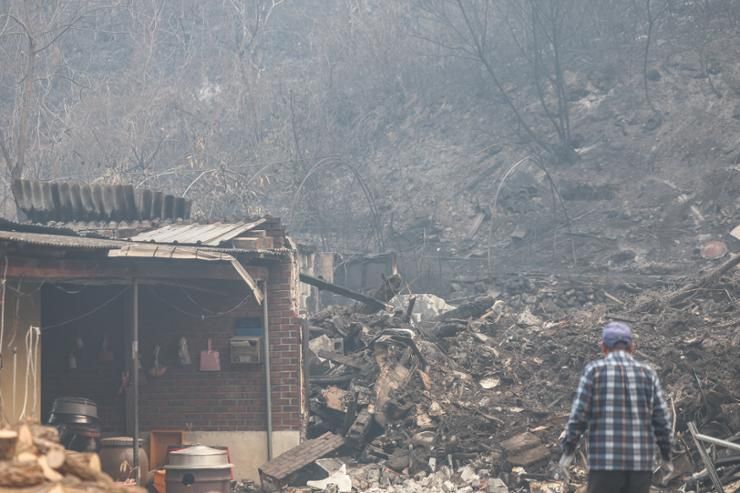 Wildfires burn about 15,000 ha of woodland in southeastern regions