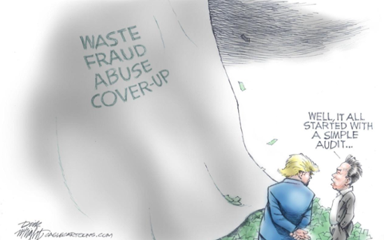 DOGE investigation into waste, fraud and abuse