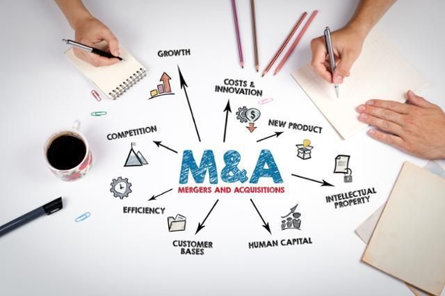 Corporate M&A investments drop 40% on-year in 2024: data