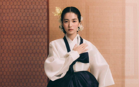 Stars shine in hanbok-inspired photoshoots to showcase Korean beauty