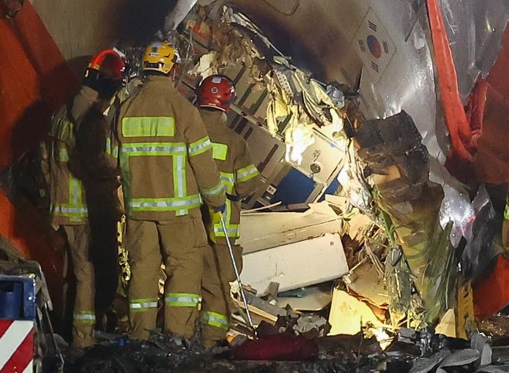 Experts question bird strike as cause of deadly South Korean airliner crash