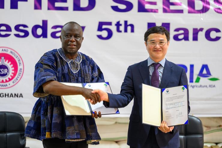 Locally-engineered seed expected to boost continent's rice production - Vimarsana News