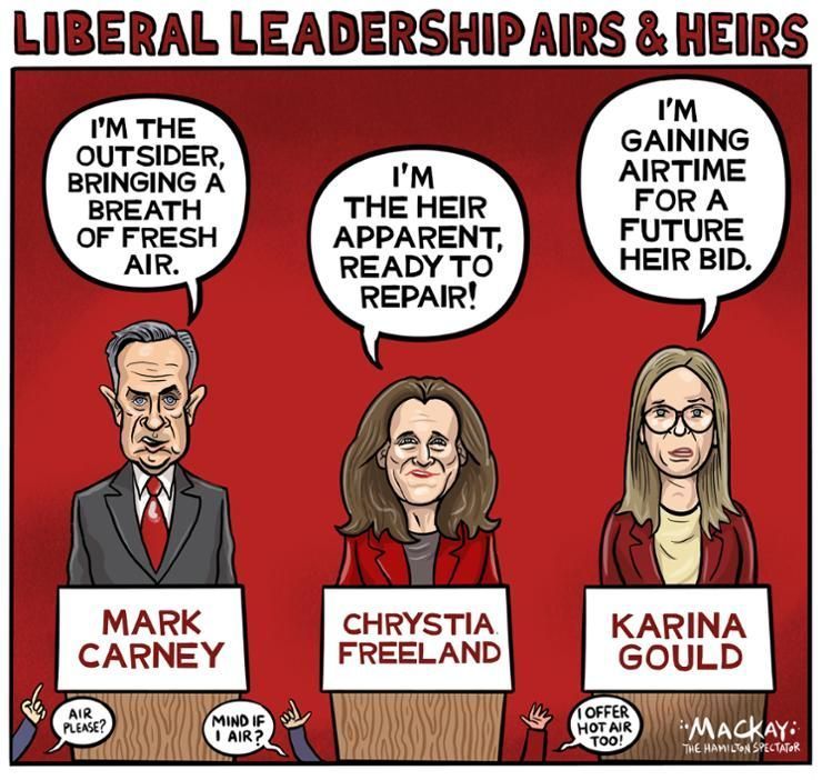 Canada leading liberal leadership candidates