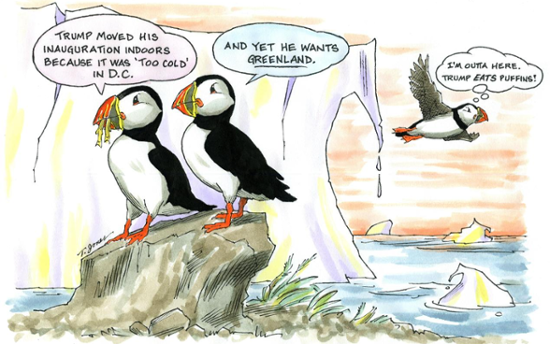 Greenland puffins and Trump