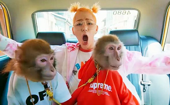 Rapper Zico impressed by North Korean audience - The Korea Times