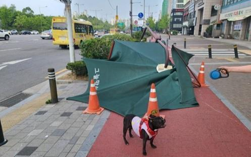 1,424 human-pet dog patrol teams to join efforts to ensure town safety in Seoul - Vimarsana News