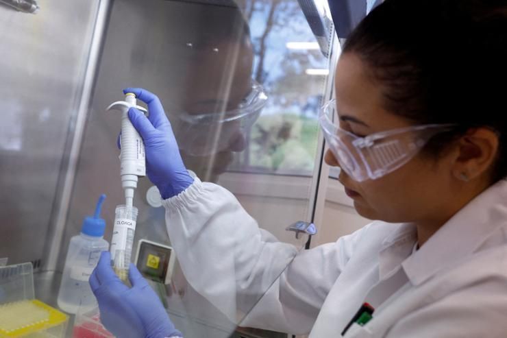 WHO confirms fatal human case of bird flu in Mexico - Vimarsana News