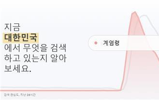 'Martial law' becomes most-searched word on Google in S. Korea