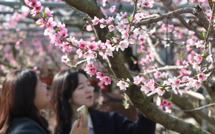 Korea sees warmest-ever February morning temperatures - Vimarsana News