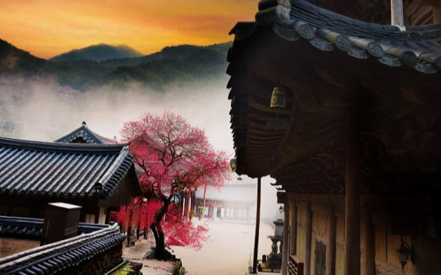 Winners of Hwaeomsa Temple's red plum blossoms photo contest - Vimarsana News