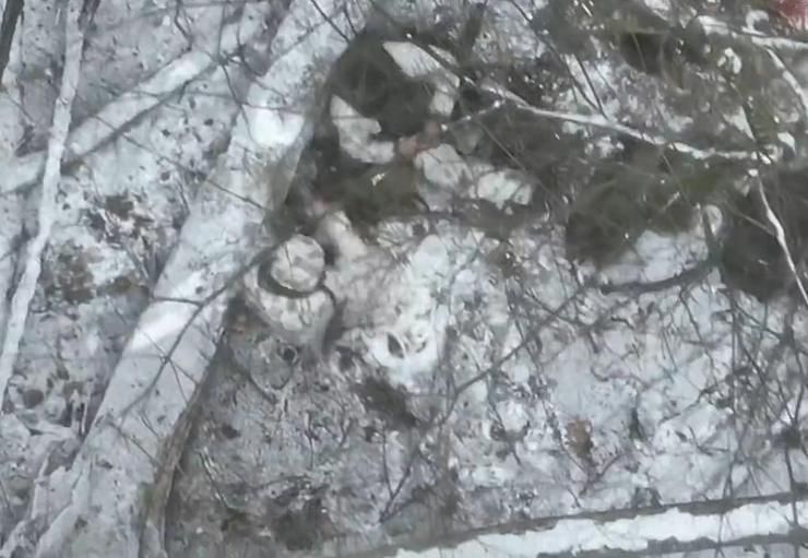 Ukrainian military unveils footage of drone attacks on NK soldiers: report