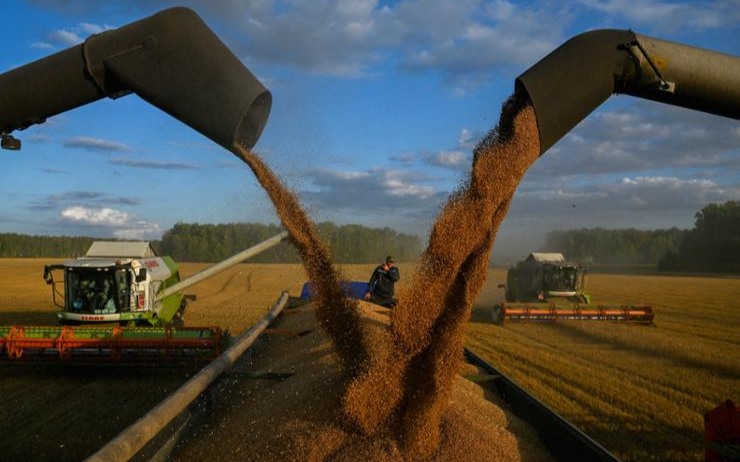Russia's agriculture minister Dmitry Patrushev and N.Korea discuss agriculture - Vimarsana News