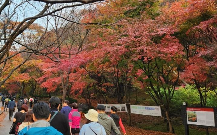 Fall foliage season - Vimarsana News