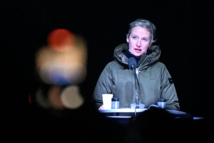 German government seeks to downplay Musk's backing of far-right party ahead of general election