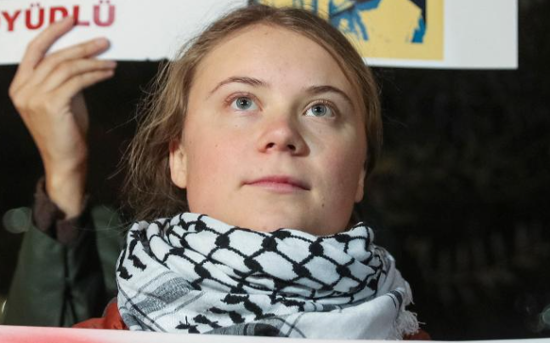 Sweden's top court rejects Greta Thunberg lawsuit on climate action