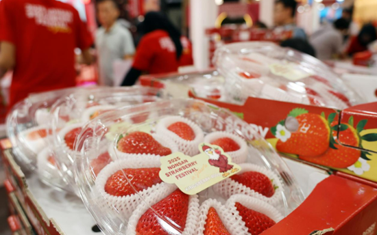 'Sweet and tangy, fantastic taste': Indonesia falls for Korea's Nonsan strawberries