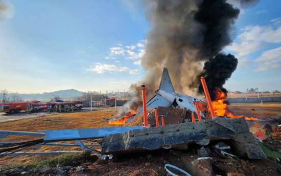 28 dead as jet carrying 181 people crashes while landing in S. Korea's Muan