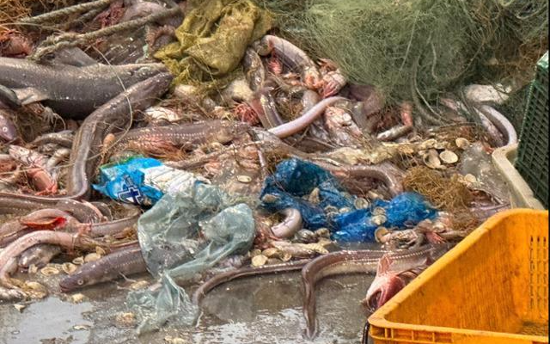 Shrimp boat returns from fishing grounds with 'full load' of trash ...