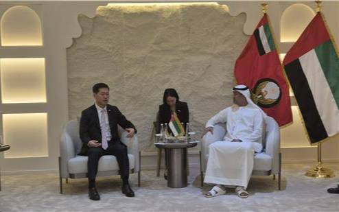 DAPA chief discusses arms exports in UAE, Egypt
