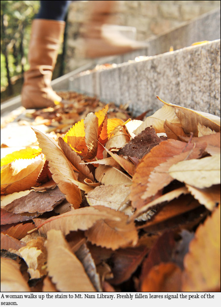 Fall: foliage in full bloom - The Korea Times